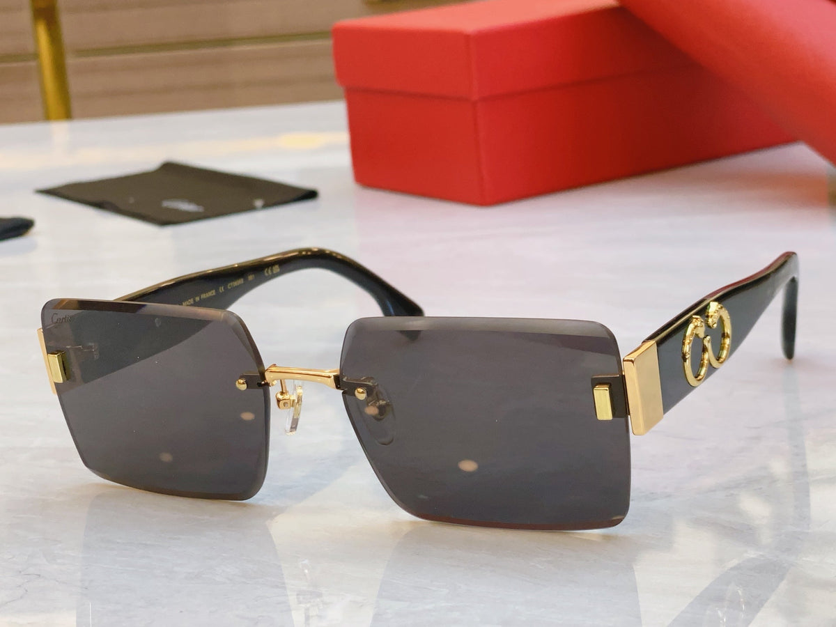 CARTIER PANTHÈRE GEOMETRIC SUNGLASSES CT00636S IN METAL AND ACETATE