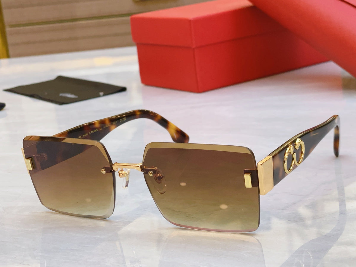 CARTIER PANTHÈRE GEOMETRIC SUNGLASSES CT00636S IN METAL AND ACETATE